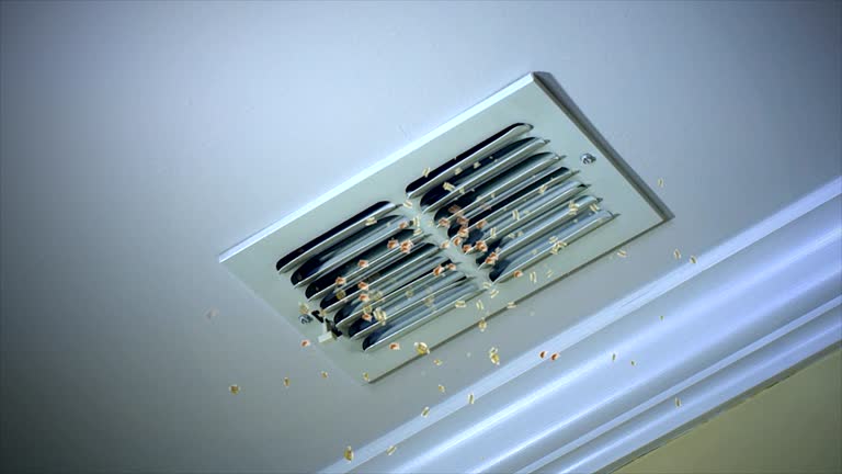 Best Emergency Air Duct Cleaning  in Josephine, TX